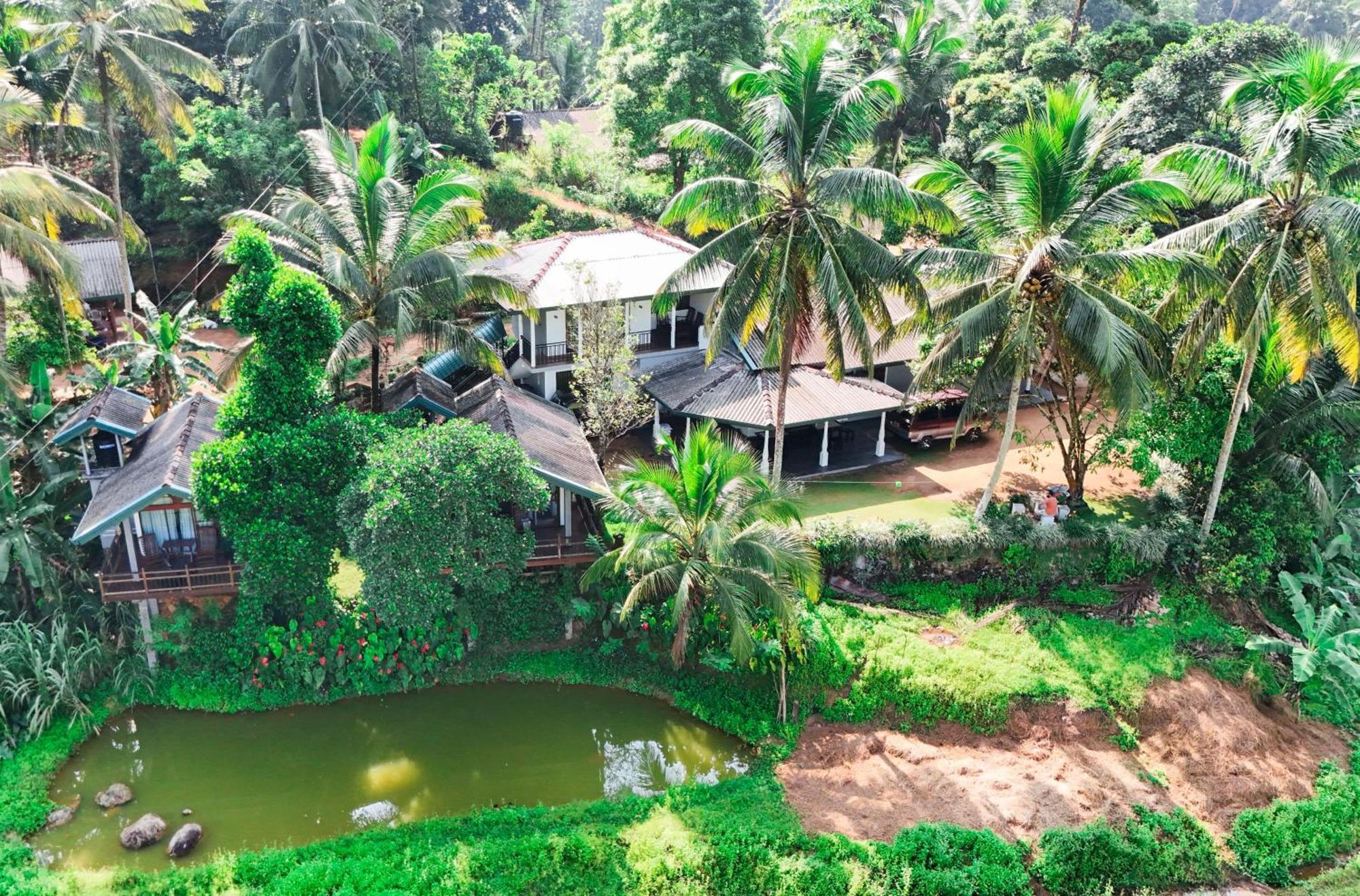 Rainforest Nest Deniyaya Exterior photo